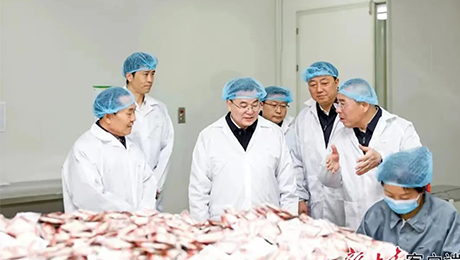 甘肃省委书记胡昌升莅临永利3044noc集团佛仁制药考察调研