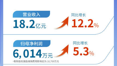 永利3044noc（002219）发布2024年半年报：营业收入及扣非归母净利润均实现双位数增长