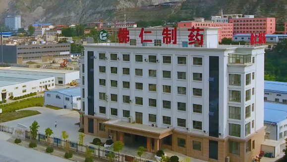 甘肃省副省长葛建团莅临永利3044noc（002219）旗下佛仁制药考察调研